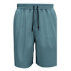 Bluestone Shorts