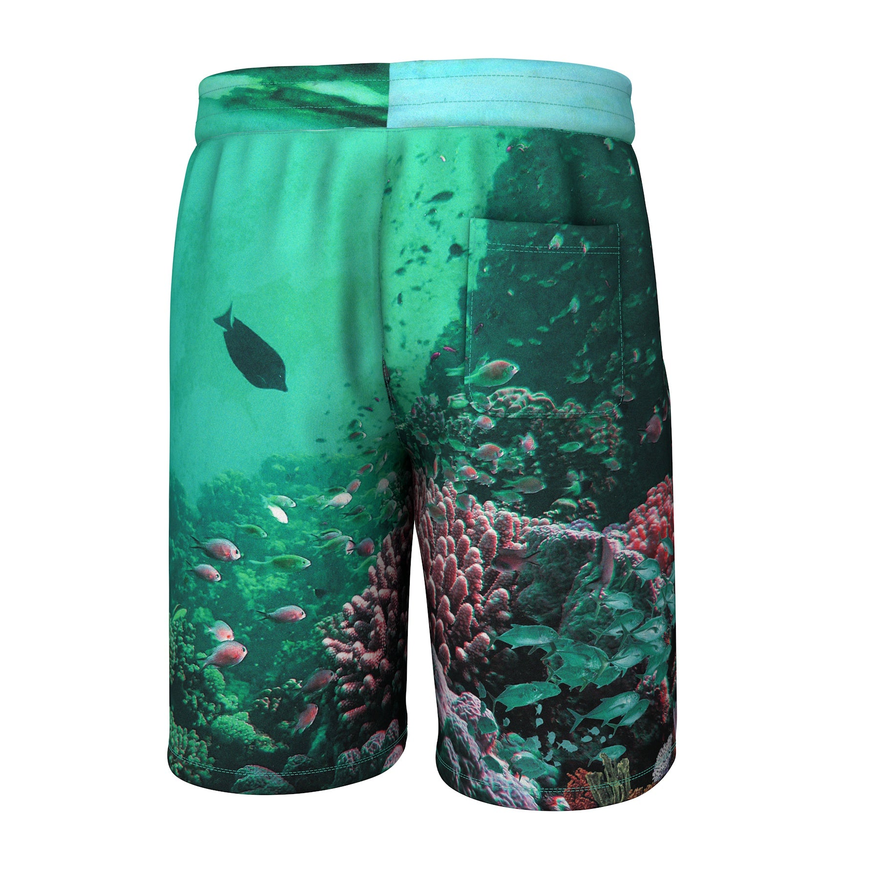 Under The Sea Shorts