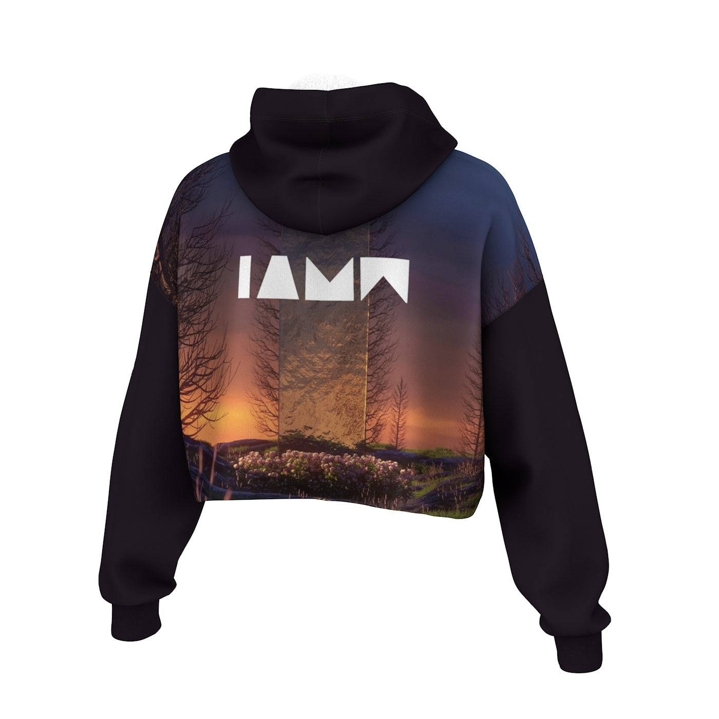 Monument Cropped Hoodie