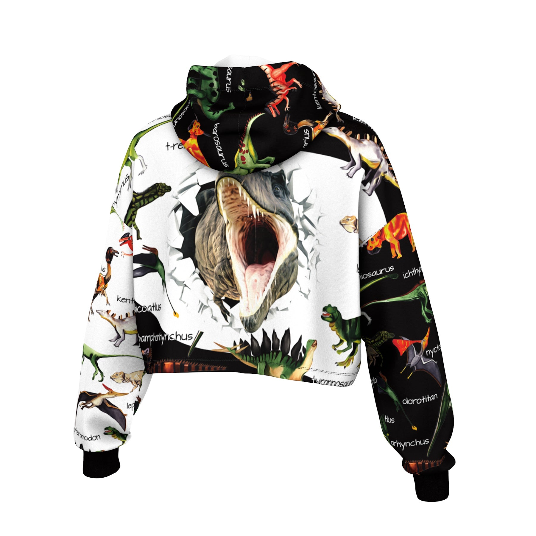 Dino Map Cropped Hoodie
