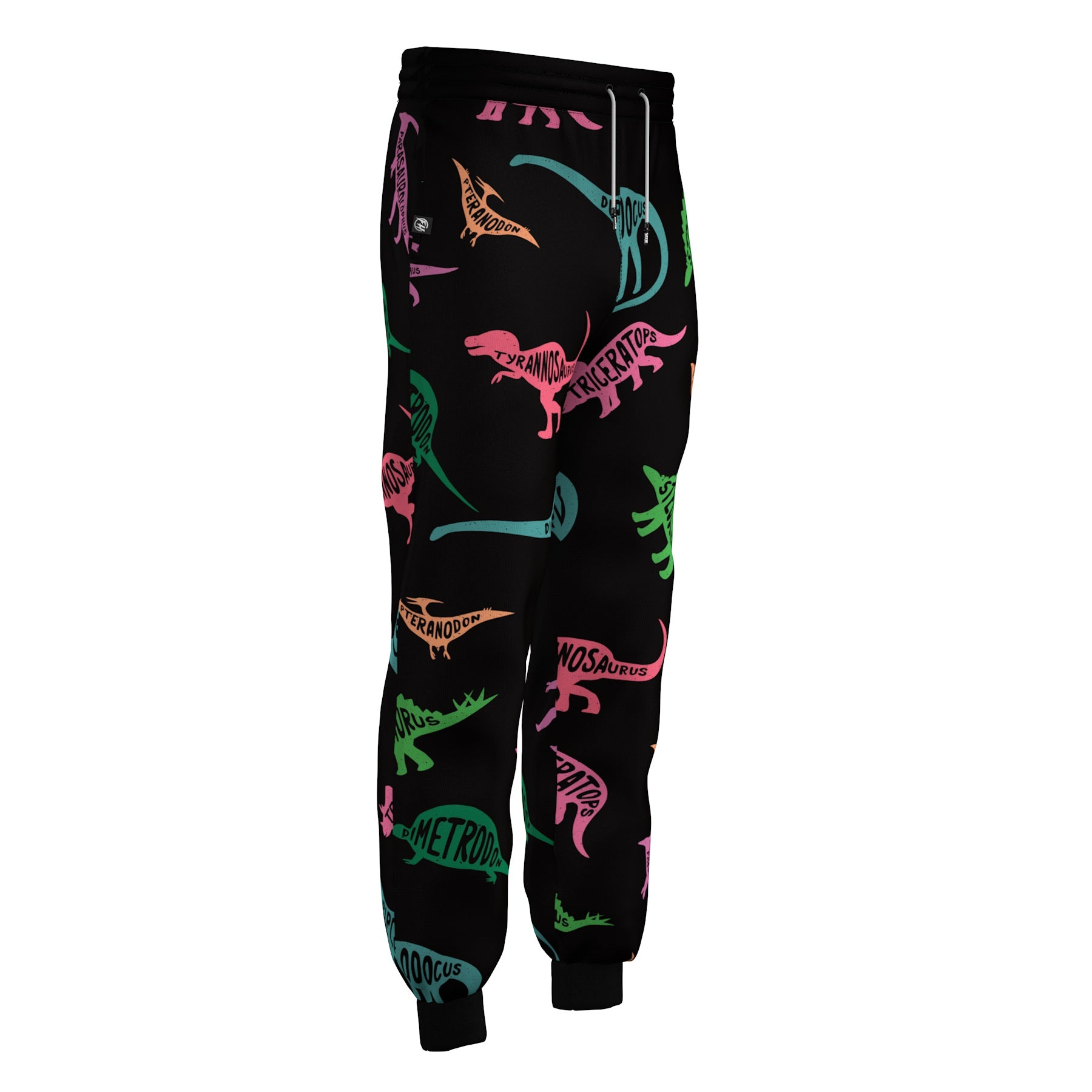 Dinosaur sweatpants 2024